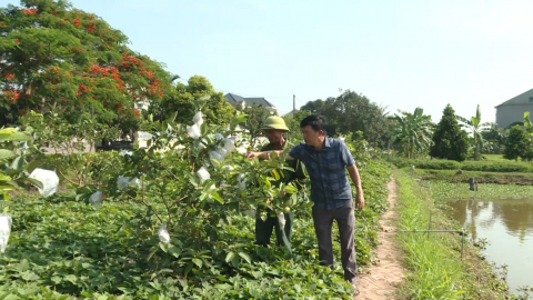 N&ocirc;ng d&acirc;n Y&ecirc;n Kh&aacute;nh thi đua sản xuất, kinh doanh giỏi