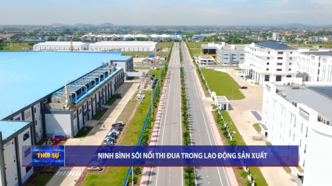 Ninh B&igrave;nh s&ocirc;i nổi thi đua trong lao động sản xuất