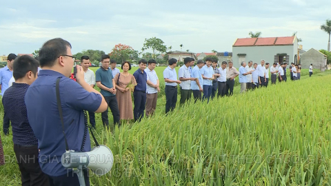 Đ&aacute;nh gi&aacute; kết quả m&ocirc; h&igrave;nh sản xuất theo chuỗi gi&aacute; trị đồng bộ
