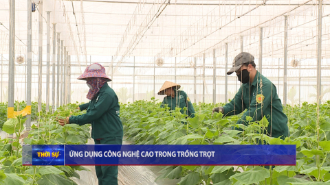 Ứng dụng c&ocirc;ng nghệ cao trong trồng trọt