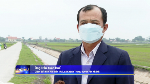 Đổi thay về hạ tầng thủy lợi huyện Y&ecirc;n Kh&aacute;nh sau 30 năm t&aacute;i lập Tỉnh