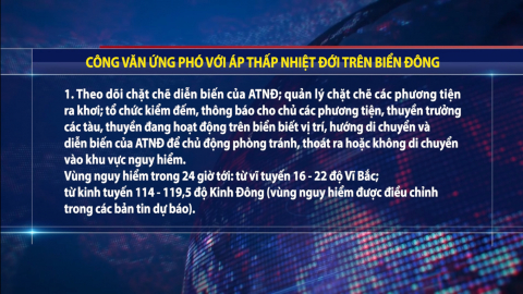 C&ocirc;ng văn ứng ph&oacute; với &aacute;p thấp nhiệt đới tr&ecirc;n biển Đ&ocirc;ng