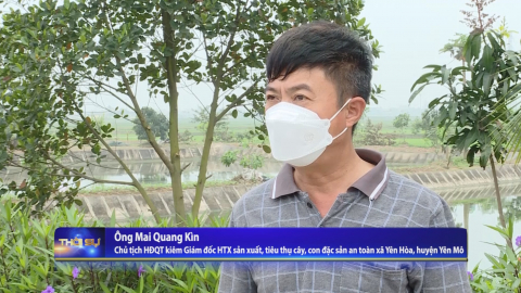 Y&ecirc;n H&ograve;a - Điểm s&aacute;ng trong quy hoạch v&ugrave;ng sản xuất