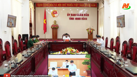 Hội nghị trực tuyến về việc triển khai phục hồi c&aacute;c chuyến bay nội địa