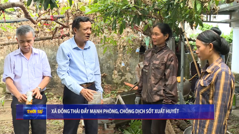 X&atilde; Đồng Th&aacute;i đẩy mạnh ph&ograve;ng, chống dịch sốt xuất huyết