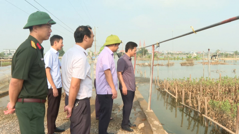 Kiểm tra c&ocirc;ng t&aacute;c chuẩn bị ứng ph&oacute; với b&atilde;o số 11