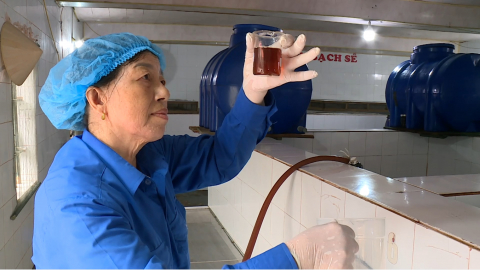 Đẩy mạnh ph&aacute;t triển nghề sản xuất nước mắm truyền thống
