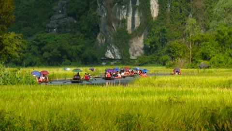 Tam cốc m&ugrave;a v&agrave;ng