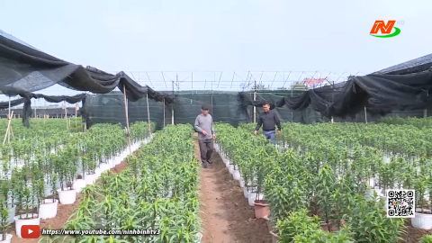 Hội N&ocirc;ng d&acirc;n phường Thi&ecirc;n Trường - Điểm tựa gi&uacute;p hội vi&ecirc;n ph&aacute;t triển kinh tế