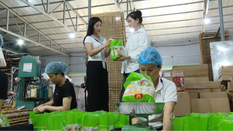 Khởi nghiệp từ gi&aacute; trị bản địa