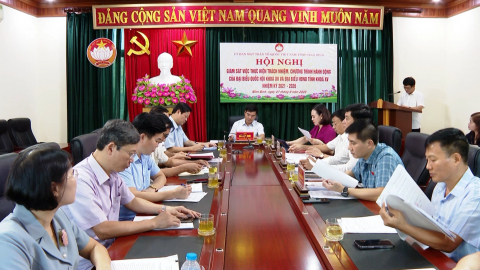 Gi&aacute;m s&aacute;t việc thực hiện tr&aacute;ch nhiệm, chương tr&igrave;nh h&agrave;nh động của đại biểu Quốc hội kh&oacute;a XV v&agrave; đại biểu HĐND tỉnh kh&oacute;a XV