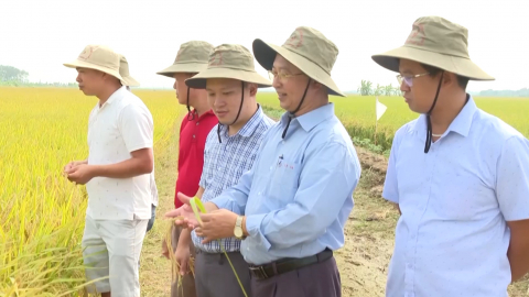 Th&uacute;c đẩy c&aacute;c chuỗi li&ecirc;n kết sản xuất n&ocirc;ng nghiệp