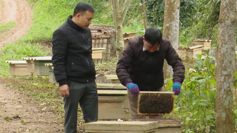 X&acirc;y dựng thương hiệu mật ong X&iacute;ch Thổ