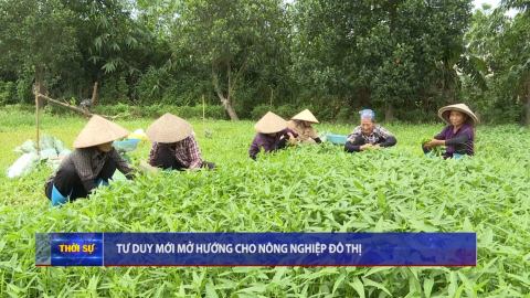 Tư duy mới mở hướng cho n&ocirc;ng nghiệp đ&ocirc; thị