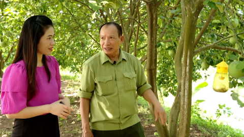OCOP Ninh B&igrave;nh - Khơi dậy tiềm năng, n&acirc;ng tầm thương hiệu qu&ecirc; hương