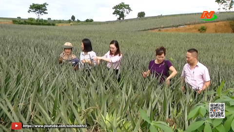 T&iacute;n dụng ch&iacute;nh s&aacute;ch - Đ&ograve;n bẩy giảm ngh&egrave;o bền vững ở Ninh B&igrave;nh