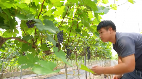 Ph&aacute;t huy vai tr&ograve; n&ecirc;u gương của Đảng vi&ecirc;n trong x&acirc;y dựng NTM