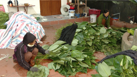 Phong tr&agrave;o ph&aacute;t triển kinh tế của phụ nữ L&yacute; Nh&acirc;n