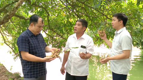 Ph&aacute;t huy gi&aacute; trị kinh tế vườn