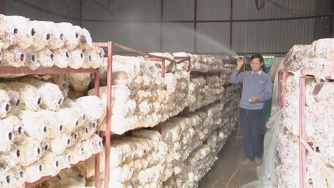 Y&ecirc;n Kh&aacute;nh ph&aacute;t triển c&aacute;c sản phẩm OCOP