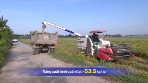 Vụ Đ&ocirc;ng xu&acirc;n 2026: Th&iacute;ch ứng linh hoạt, thắng lợi to&agrave;n diện 