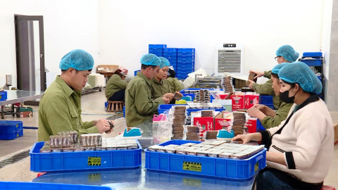 Tạo việc l&agrave;m cho lao động n&ocirc;ng th&ocirc;n