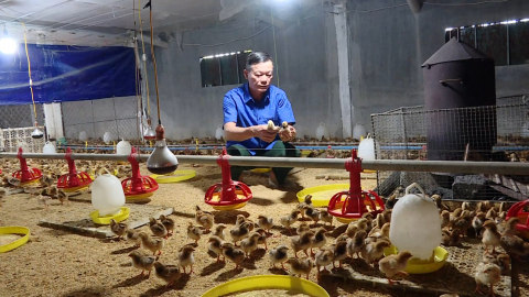 N&ocirc;ng d&acirc;n x&atilde; B&igrave;nh Mỹ thi đua sản xuất, kinh doanh giỏi