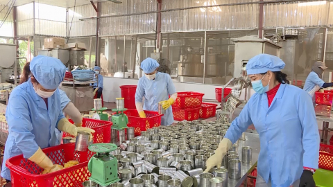 Tam Điệp tập trung ph&aacute;t triển chế biến n&ocirc;ng sản