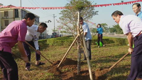 Li&ecirc;n đo&agrave;n Lao động tỉnh trồng c&acirc;y xanh tại huyện Y&ecirc;n Kh&aacute;nh