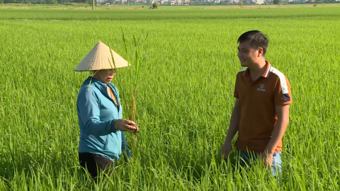 Sản phẩm OCOP n&acirc;ng cao gi&aacute; trị n&ocirc;ng sản