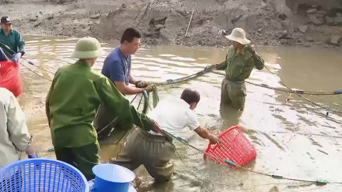 Chủ động ph&ograve;ng chống r&eacute;t cho thủy sản nước ngọt