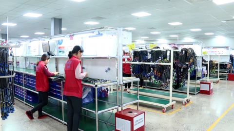 Xuất khẩu&nbsp;Ninh B&igrave;nh bứt ph&aacute;