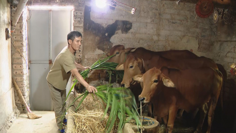 Y&ecirc;n Kh&aacute;nh ph&aacute;t huy hiệu quả ch&iacute;nh s&aacute;ch để giảm ngh&egrave;o bền vững