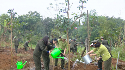 Ươm mầm cho mạch sống sinh s&ocirc;i