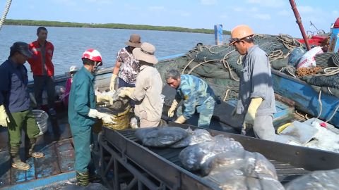 Ninh B&igrave;nh ph&aacute;t triển kinh tế biển
