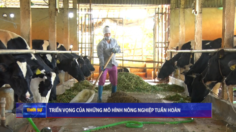 Triển vọng của những m&ocirc; h&igrave;nh n&ocirc;ng nghiệp tu&acirc;n ho&agrave;n