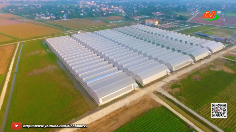 Ph&aacute;t triển kinh tế tập thể Ninh B&igrave;nh to&agrave;n diện, bền vững