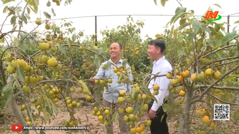 C&aacute;c cấp Hội N&ocirc;ng d&acirc;n thi đua sản xuất, hướng tới Đại hội lần thứ XIV của Đảng