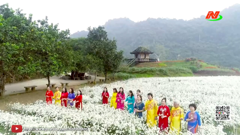 Về qu&ecirc; mẹ Ninh B&igrave;nh