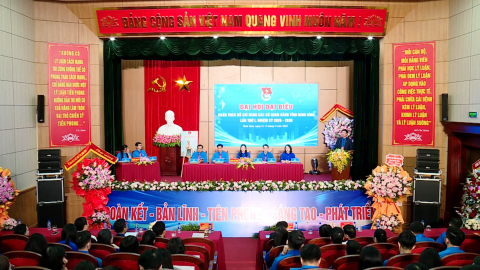 Đại hội đại biểu Đo&agrave;n TNCS Hồ Ch&iacute; Minh c&aacute;c cơ quan Đảng tỉnh 