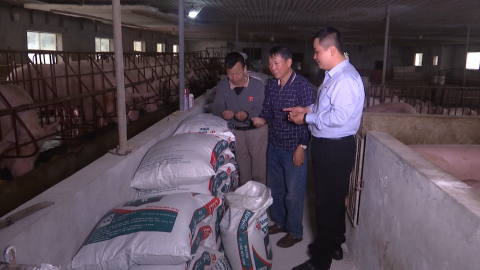 Thị trường thức ăn chăn nu&ocirc;i