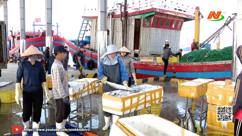 Tập trung ph&aacute;t triển kinh tế thủy sản bền vững