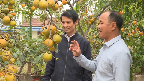 Nghị quyết của Đảng khơi dậy kh&aacute;t vọng l&agrave;m gi&agrave;u trong n&ocirc;ng d&acirc;n