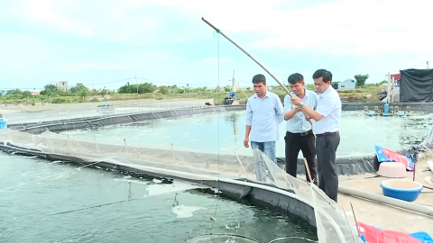 Một năm hợp nhất - N&ocirc;ng nghiệp ph&aacute;t huy tiềm năng li&ecirc;n v&ugrave;ng