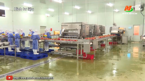 Ch&iacute;nh phủ giảm tiền điện cho 3 nh&oacute;m Doanh nghiệp kh&oacute; khăn