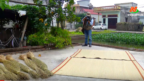 Đất v&agrave; Người Hoa Lư: C&acirc;y c&oacute;i tr&ecirc;n miền qu&ecirc; Kim Sơn