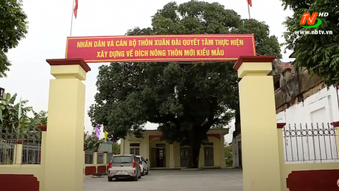 Gia Lập phấn đấu ho&agrave;n th&agrave;nh c&aacute;c ti&ecirc;u ch&iacute; x&acirc;y dựng n&ocirc;ng th&ocirc;n mới kiểu mẫu