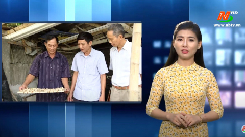 Hiệu quả m&ocirc; h&igrave;nh nu&ocirc;i ốc nhồi giống tại Ninh V&acirc;n mang lại hiệu quả kinh tế cao
