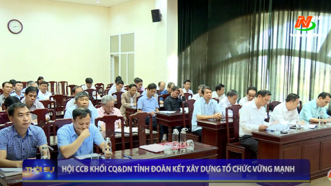 Hội CCB khối CQ&DN tỉnh đo&agrave;n kết x&acirc;y dựng tổ chức vững mạnh