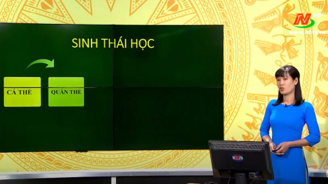 M&ocirc;n Sinh học - Lớp 12: Chủ đề: Sinh th&aacute;i học c&aacute; thể v&agrave; quần thể | Dạy học tr&ecirc;n Truyền h&igrave;nh